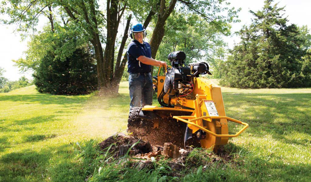 SC292 fresaceppi vermeer tree care