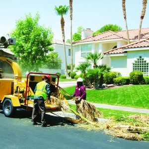 BC1000XL cippatrici Vermeer tree care