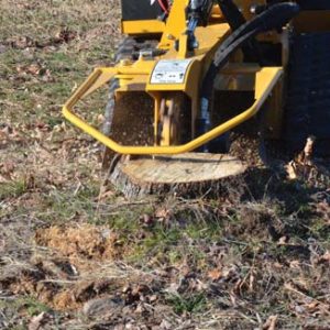 SC30TX fresaceppi Vermeer Tree care