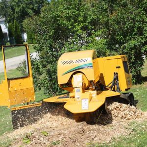 Fresaceppi cingolata SC70TX - Vermeer Tree Care 4